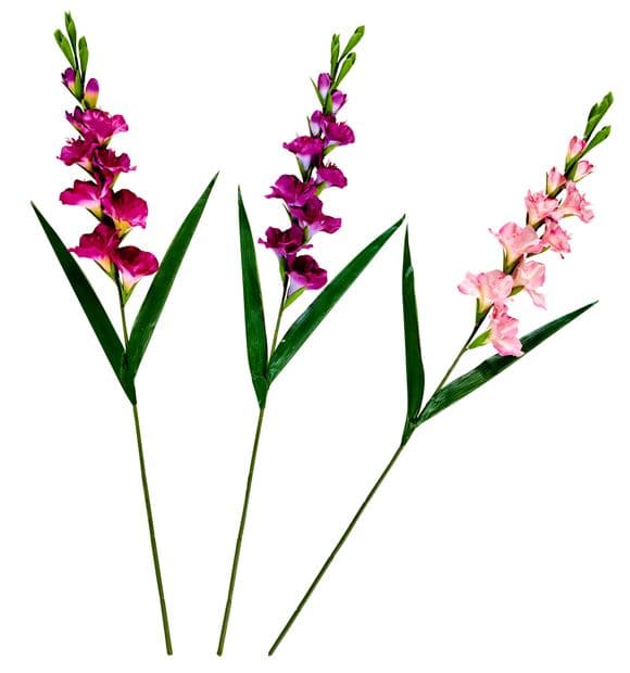 Casa GLADIUS GLADIOLUS 93cm 3COL