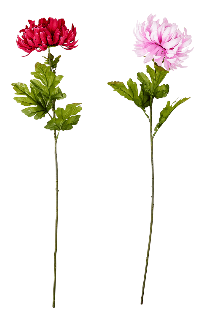 Casa CHRYSANTHEMUM red, pinkL 85 cm