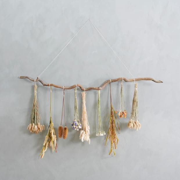 Casa DIPSACUS S/2 TEASEL 2COL