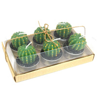 Set of 6 Barrel Cactus Tealights in Gift Box - best price from Maltashopper.com VCACTUS-07