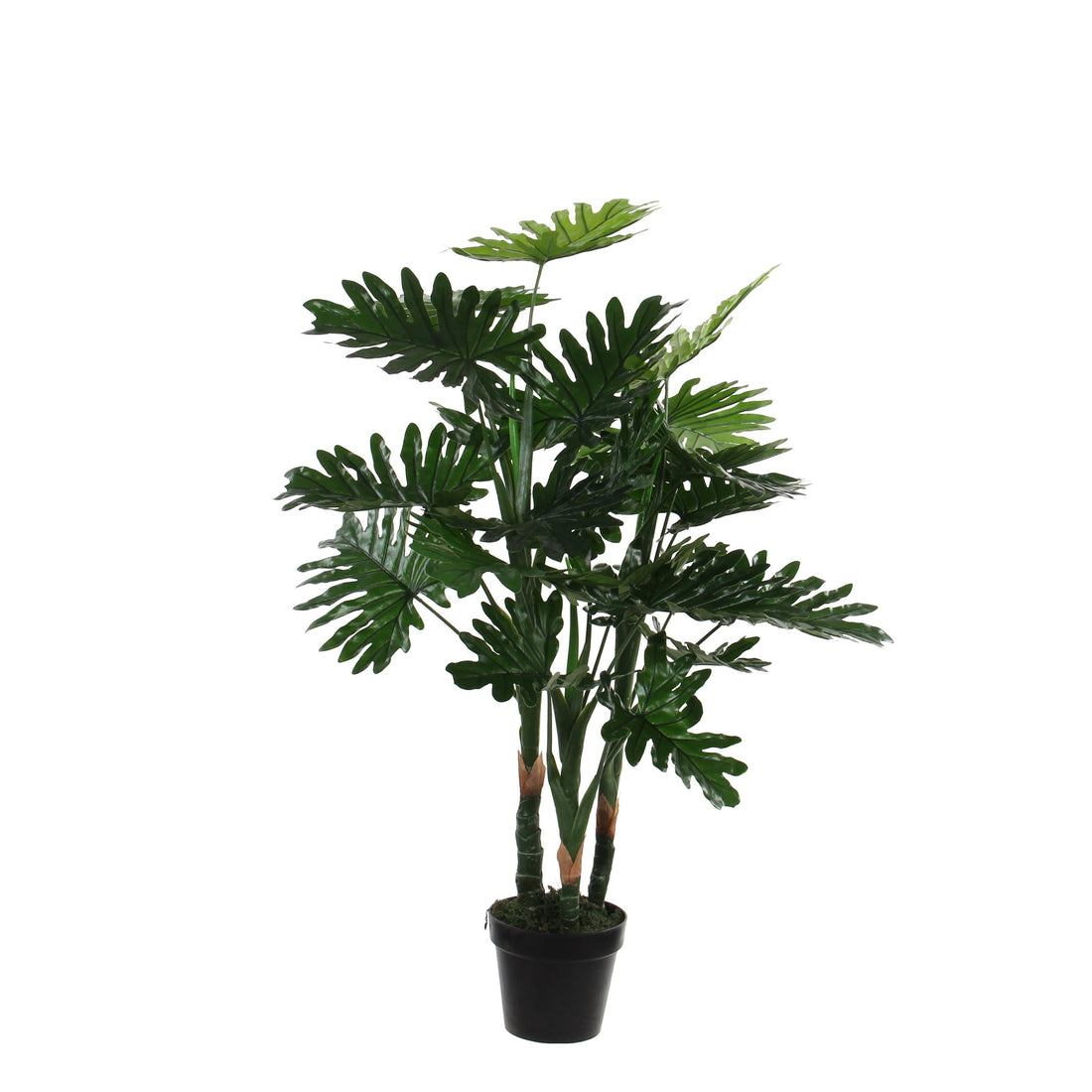 PLASTIC PHILODENDRON IN GREEN POT H100XD70CM