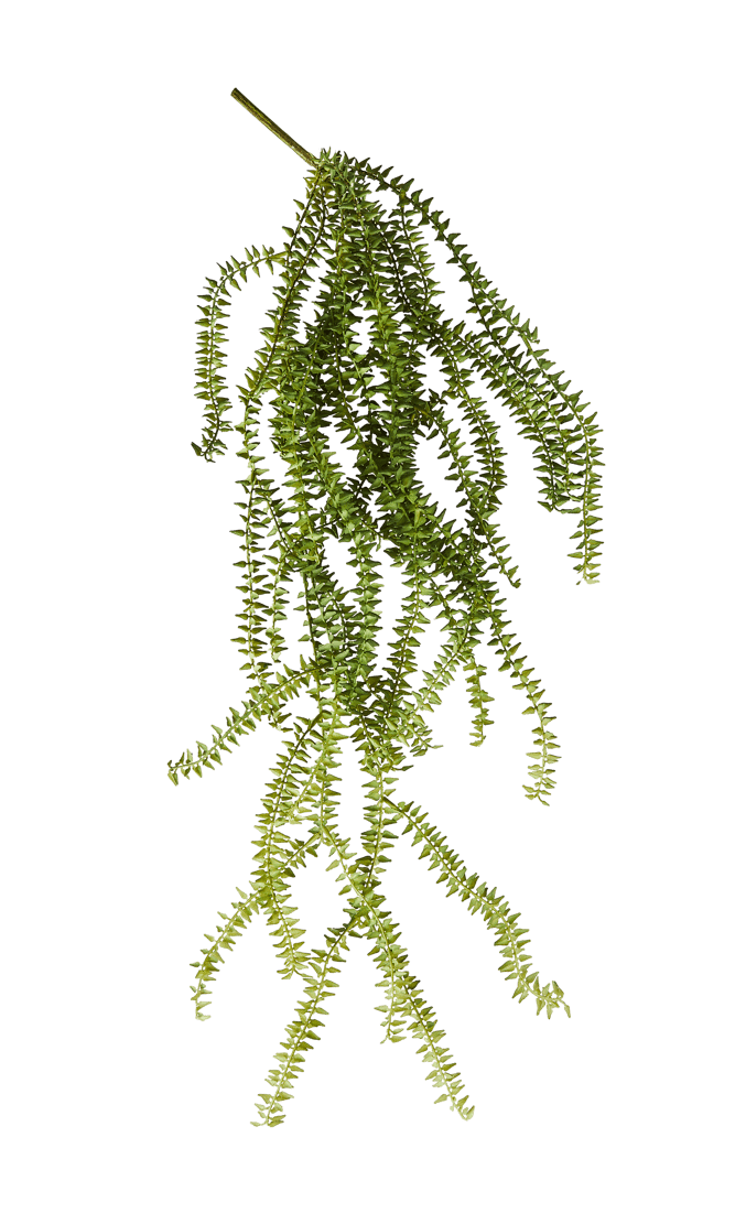 FERN Green fern branch - best price from Maltashopper.com CS678748