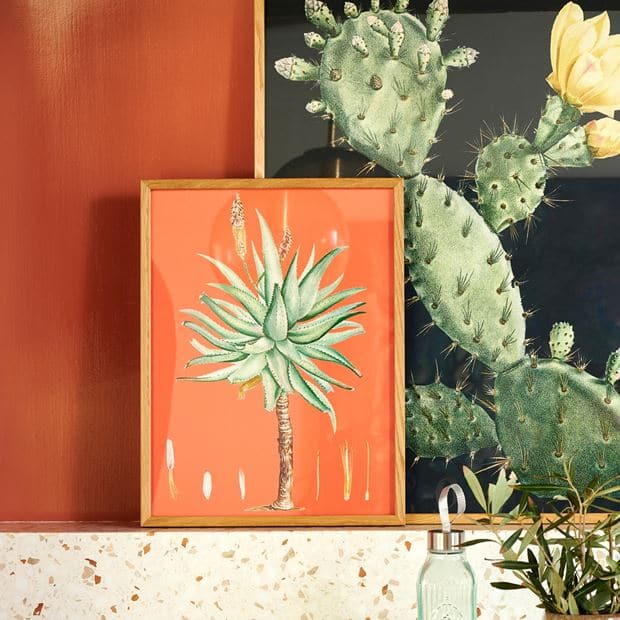 ALOE Wall deco orange, green H 40 x W 30 cm - best price from Maltashopper.com CS668605