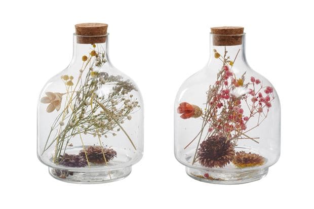 Casa Glass cover with dry flowers, various colors