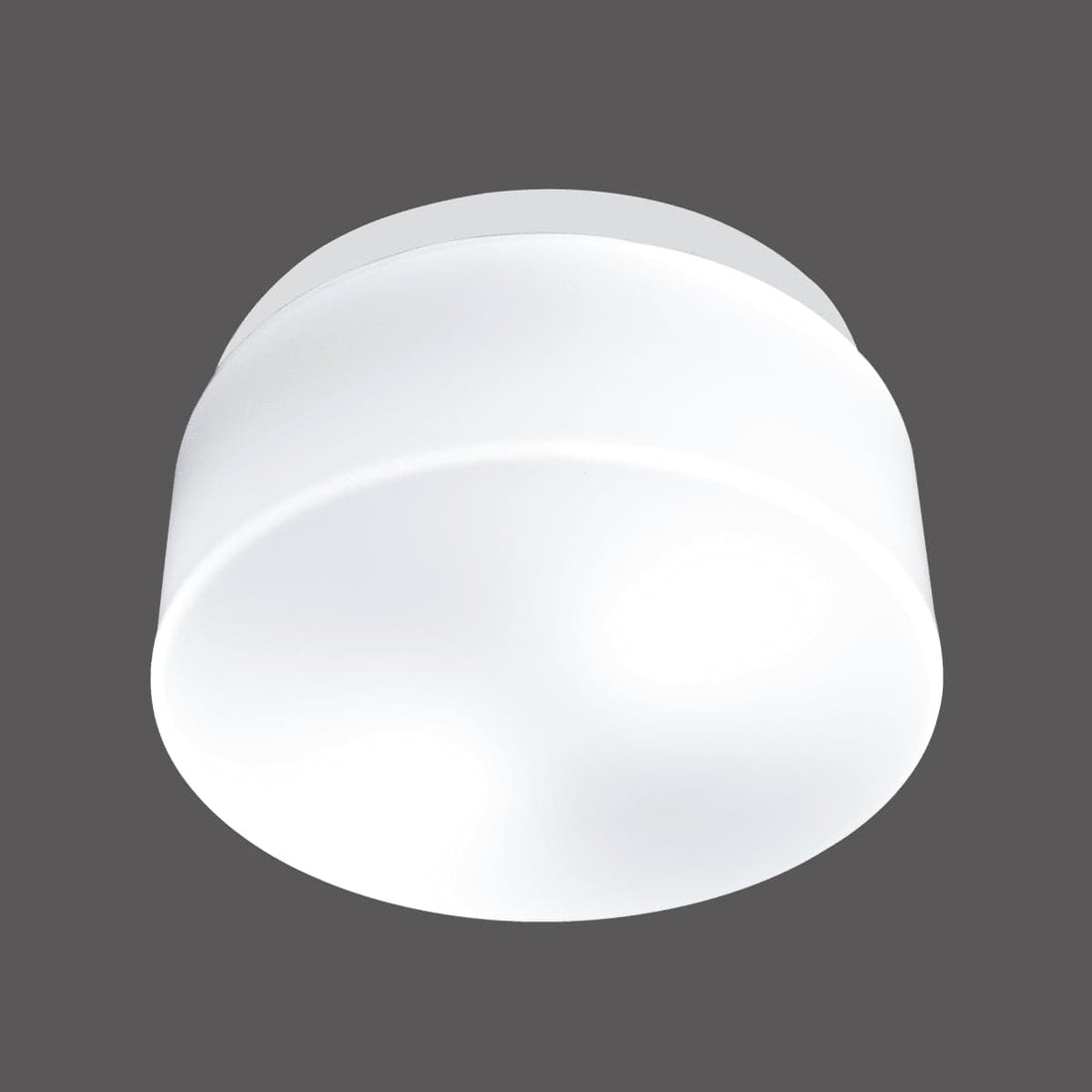 25 CM WHITE PLASTIC BATHROOM CEILING LIGHT 2xE27=12W IP44 - best price from Maltashopper.com BR420006356