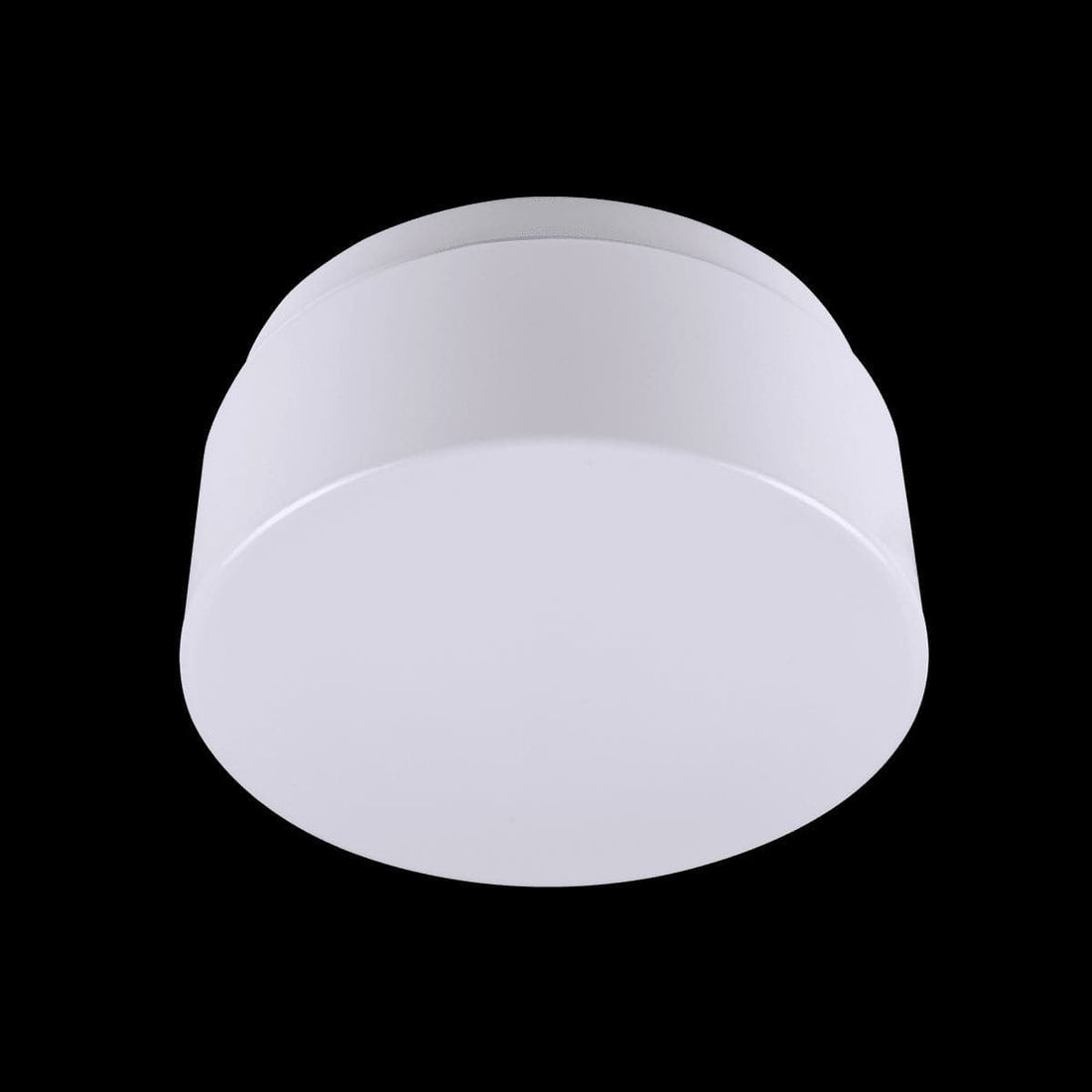 25 CM WHITE PLASTIC BATHROOM CEILING LIGHT 2xE27=12W IP44 - best price from Maltashopper.com BR420006356