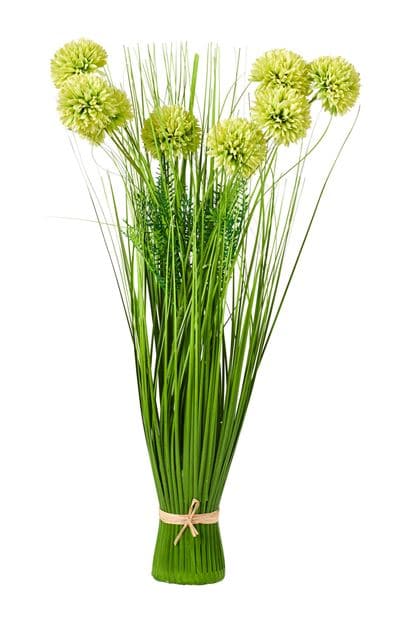 ALLIUM DECO ONION GRASS 3COL - best price from Maltashopper.com CS670572