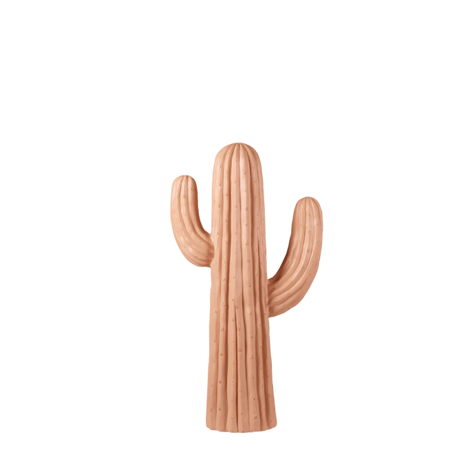 MAGNESIA Cactus terracotta - best price from Maltashopper.com CS687120