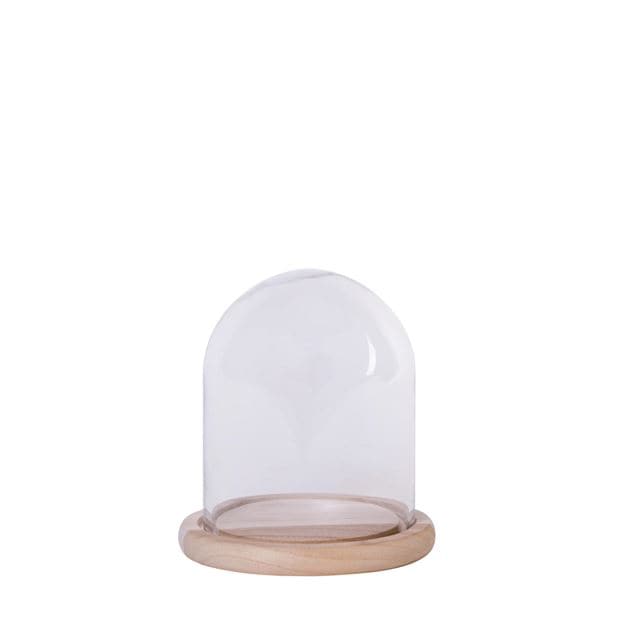 KUPOLO Transparent bell H 19.5 cm - Ø 17.5 cm - best price from Maltashopper.com CS647332