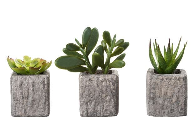 Casa GREENS MAGNETIC PLANT POTS WITH ARTIFICIAL PLANTS H11CM 3SHA