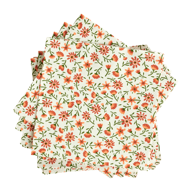 Casa IRMA Set of 20 multicoloured napkins
