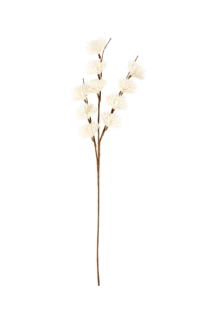 Casa FROST White larch, L 78 cm