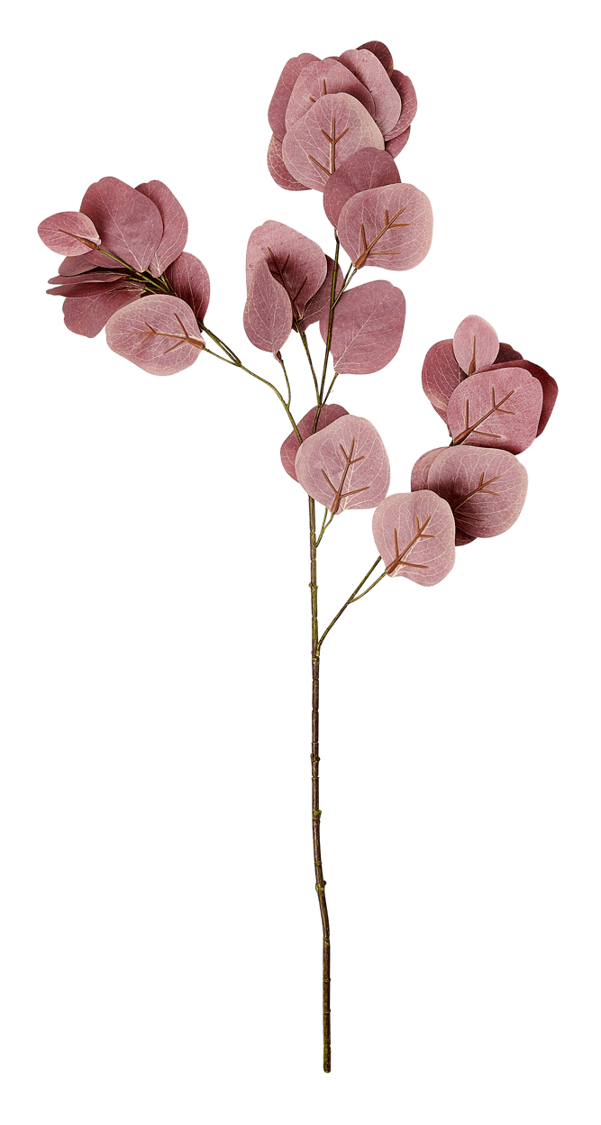 Casa EUCALYPTUS Ramo artificiale burgundy, L 72 cm