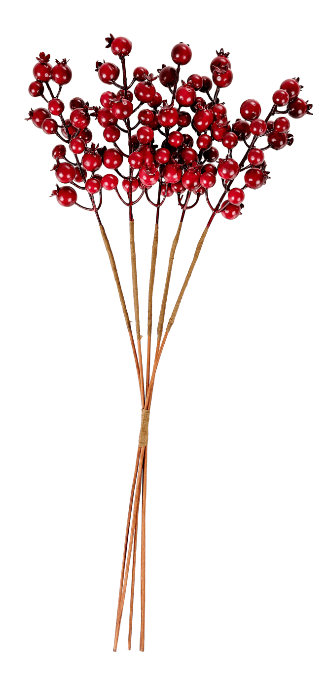 FOAM Red rosehips - best price from Maltashopper.com CS681604