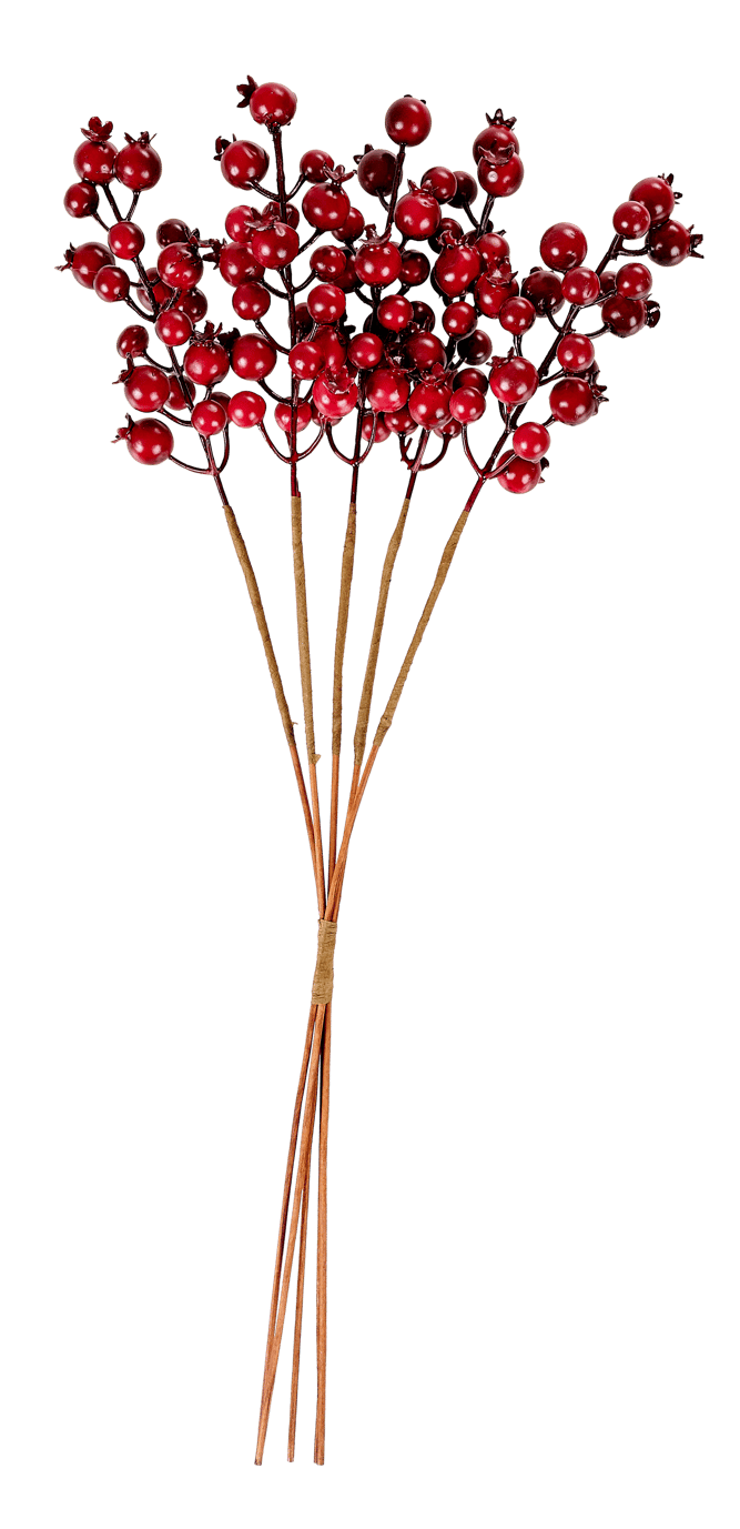 Casa FOAM Red dog rose branches, L 55 cm