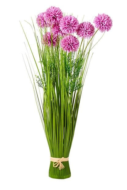 ALLIUM DECO ONION GRASS 3COL - best price from Maltashopper.com CS670572