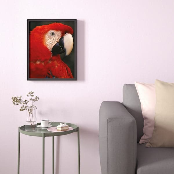 Ikea BILD - Poster , 40x50 cm