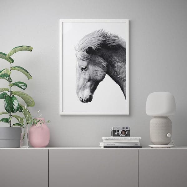 BILD - Poster , 50x70 cm - best price from Maltashopper.com 10446939