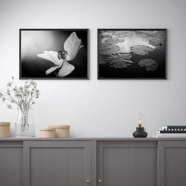 Ikea BILD - Poster , 70x50 cm