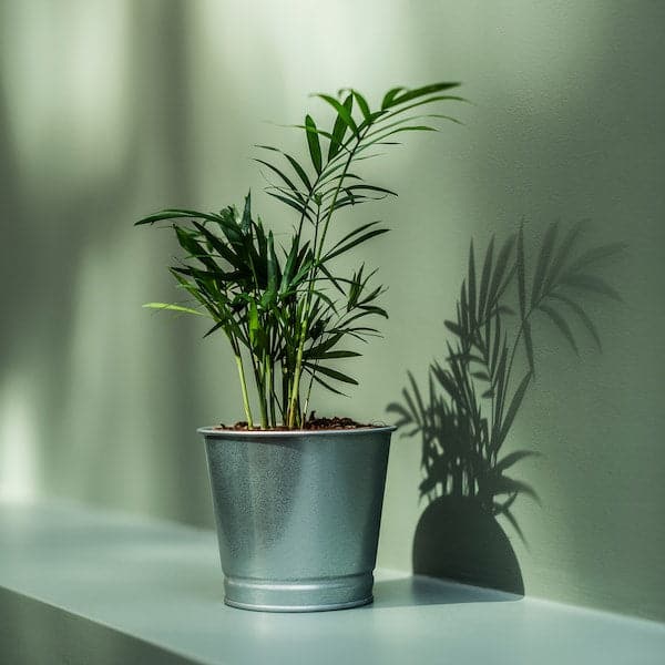 Ikea BINTJE - Plant pot, galvanised, 9 cm