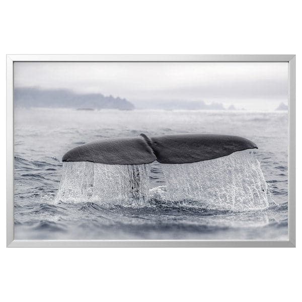 Ikea BJÖRKSTA Canvas framed - whale tail/aluminium colour 118x78 cm , 118x78 cm