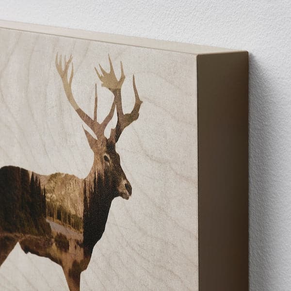 Ikea BJÖRNAMO - Picture, set of 2, Wild animals II, 30x20 cm