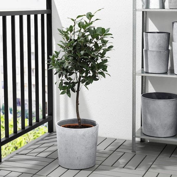 Ikea BOYSENBÄR - Plant pot, in/outdoor light grey, 24 cm