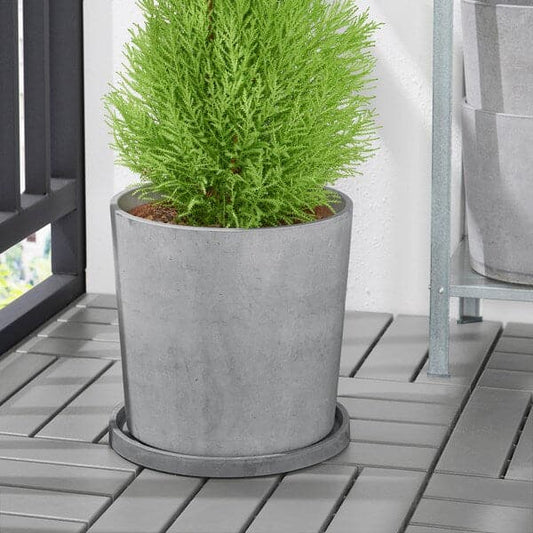 Ikea BOYSENBÄR - Saucer, in/outdoor light grey, 27 cm