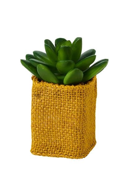 Casa CACTUS COLOR SUCCULENT 4 shapes, 3 color variants