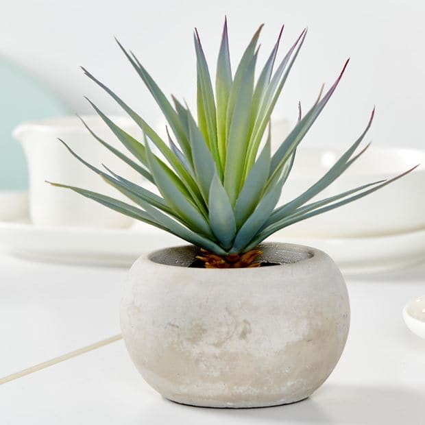 Casa CEMENT Fake succulent in gray pot, H 18,5 cm - Ø 18 cm