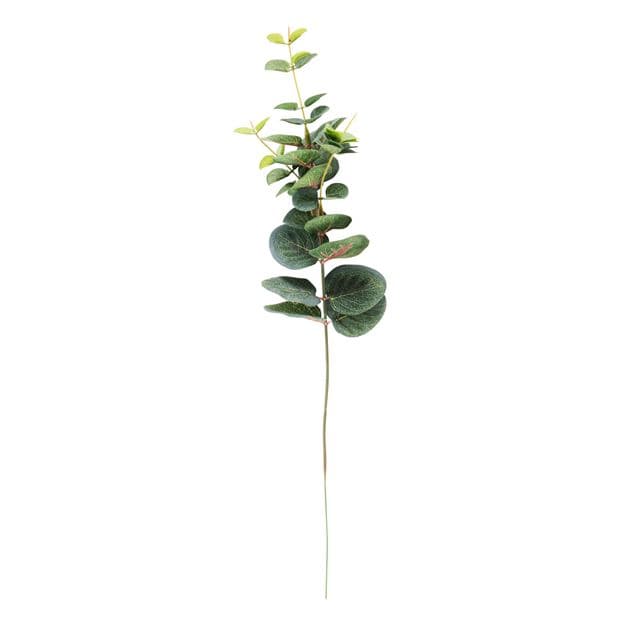 Casa EUCALYPTUS Green artificial branch, L 40,5 cm