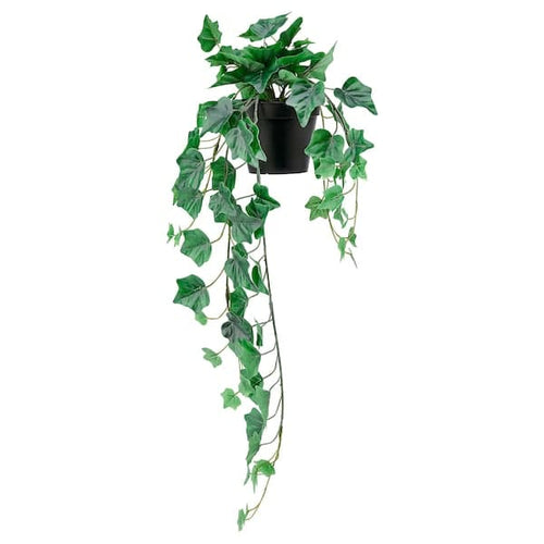 FEJKA - Artificial potted plant, in/outdoor/hanging Ivy, 12 cm