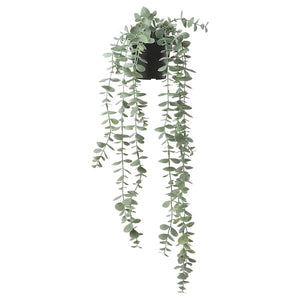 Ikea FEJKA - Artificial potted plant, in/outdoor hanging/eucalyptus, 9 cm