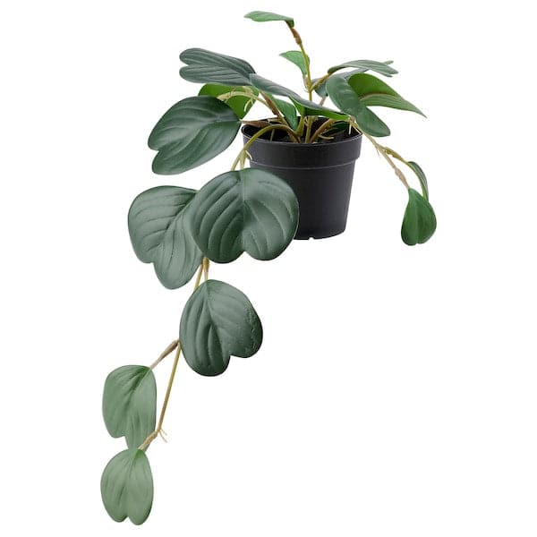 FEJKA - Artificial potted plant, in/outdoor hanging/Peperomia, 9 cm - best price from Maltashopper.com 00468446
