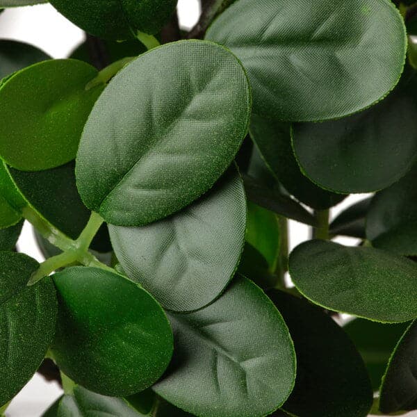 FEJKA - Artificial potted plant with pot, in/outdoor bonsai, 16 cm - best price from Maltashopper.com 90493385