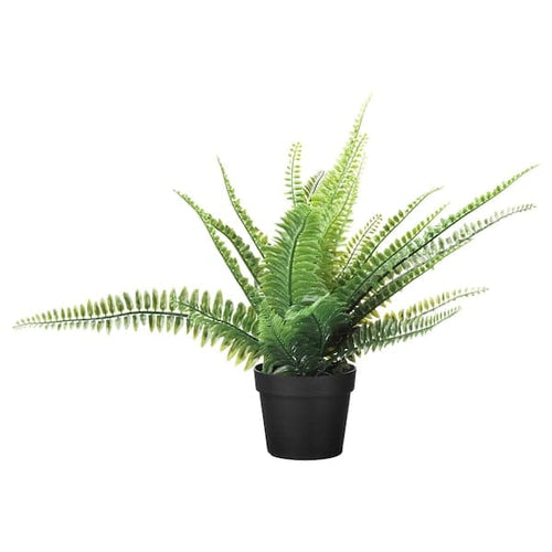 FEJKA - Artificial potted plant, in/outdoor fern, 9 cm