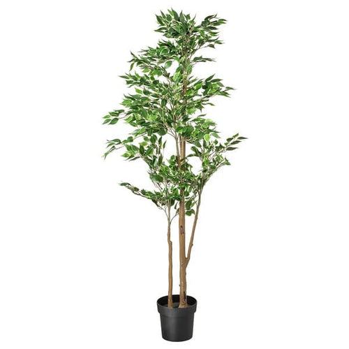 FEJKA - Artificial potted plant, in/outdoor Weeping fig, 21 cm
