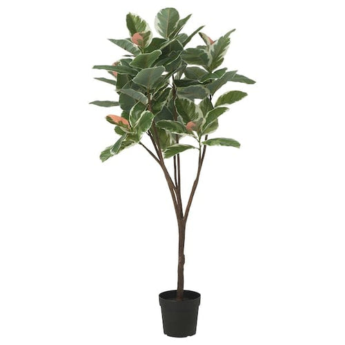 FEJKA - Artificial potted plant, in/outdoor Rubber plant, 23 cm