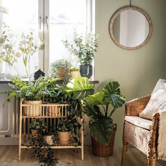Ikea FEJKA - Artificial potted plant, in/outdoor Monstera, 19 cm