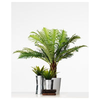 FEJKA - Artificial potted plant, in/outdoor Fern palm, 17 cm - best price from Maltashopper.com 10470458