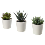 FEJKA artificial potted plant with pot, in/outdoor Succulent, 6 cm 3 pack, 3 pack
