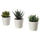 FEJKA artificial potted plant with pot, in/outdoor Succulent, 6 cm, 3 pack