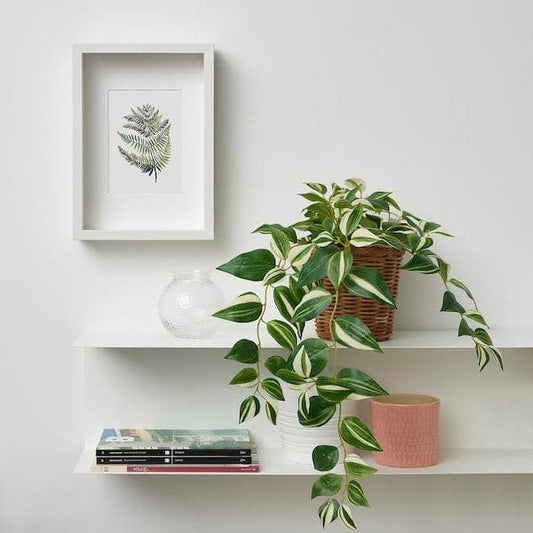 Ikea FEJKA - Artificial potted plant, in/outdoor/tradescantia zebrina, 12 cm