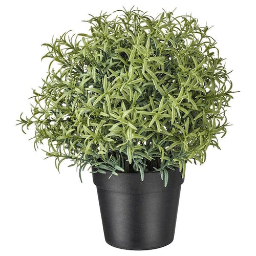 FEJKA - Artificial potted plant, Rosemary, 9 cm