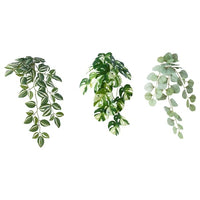 FEJKA artificial plant with wall holder, in/outdoor/green