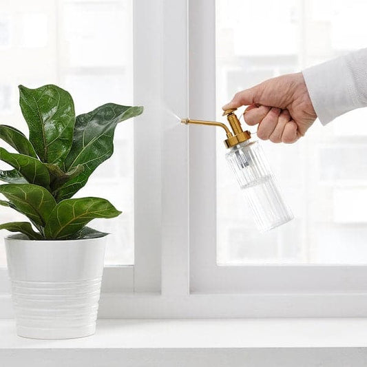 GRADVIS - Plant mister, clear glass/gold-colour, 15 cl - best price from Maltashopper.com 00504604