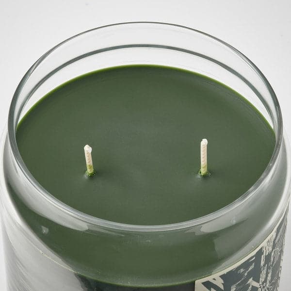 Ikea JÄMTSKOGEN - Scented cndl in glass w lid/2 wicks, cypress & eucalyptus/dark green, 70 hr