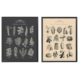 KNOPPÄNG frame with poster, garden, 40x50 cm, 2 pack