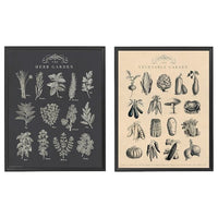 KNOPPÄNG frame with poster, garden, 40x50 cm, 2 pack