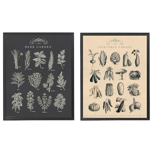 KNOPPÄNG - Frame with poster, garden, 40x50 cm - best price from Maltashopper.com 40465771